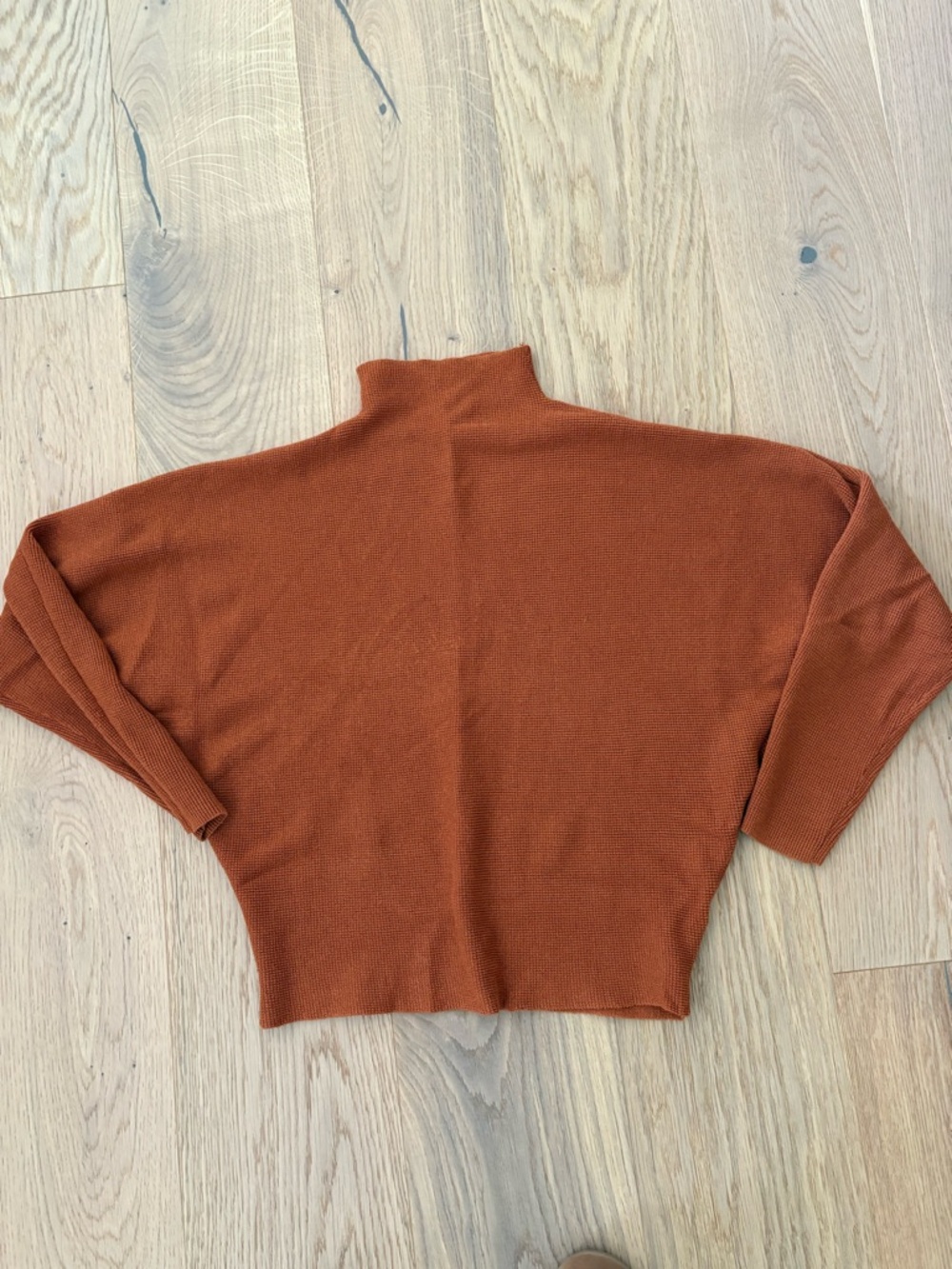 Cyrus Burnt Orange Turtleneck Sweater